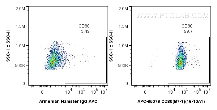 Flow cytometry (FC) experiment of Balb/c mouse peritoneal macrophages using APC Anti-Mouse CD80 (B7-1) (16-10A1) (APC-65076)