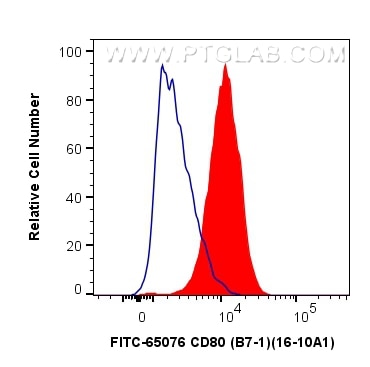 Flow cytometry (FC) experiment of Balb/c mouse peritoneal macrophages using FITC Plus Anti-Mouse CD80 (B7-1) (16-10A1) (FITC-65076)