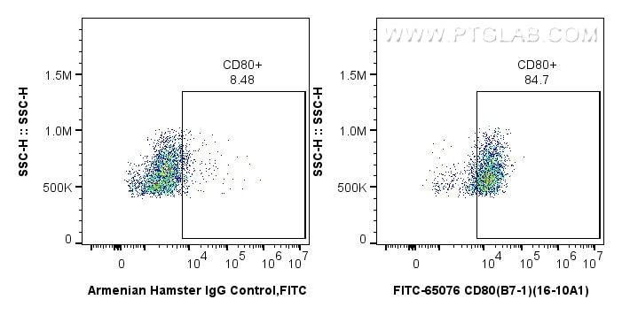 FC experiment of Balb/c mouse peritoneal macrophages using FITC-65076