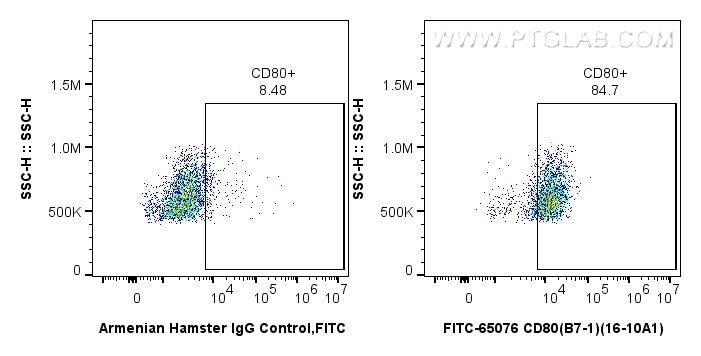 Flow cytometry (FC) experiment of Balb/c mouse peritoneal macrophages using FITC Plus Anti-Mouse CD80 (B7-1) (16-10A1) (FITC-65076)