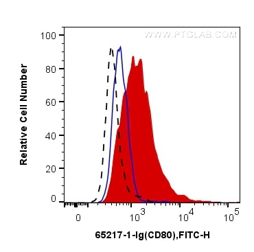 Flow cytometry (FC) experiment of wistar rat splenocytes using Anti-Rat CD80 (3H5) (65217-1-Ig)