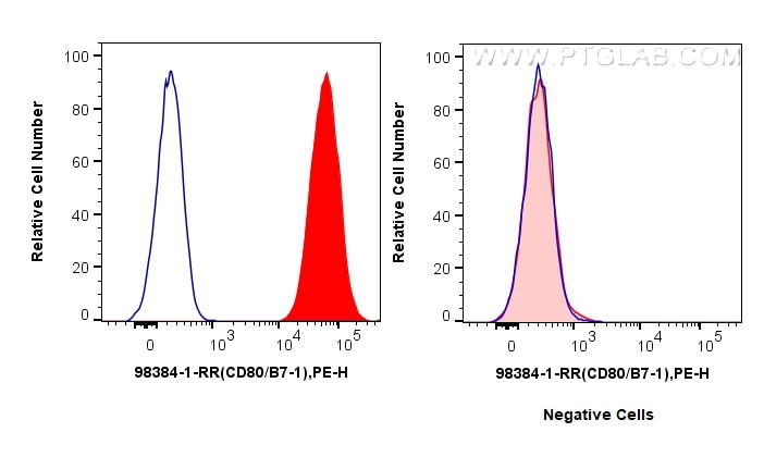 CD80