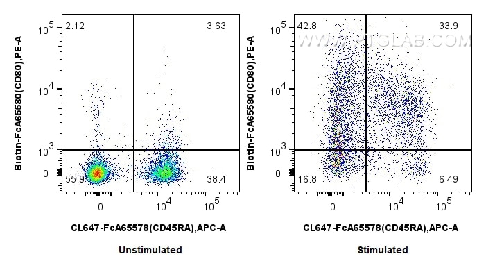 Flow cytometry (FC) experiment of rat splenocytes cells using FcZero-rAb® Biotin Anti-Rat CD80 (3H5) Rabbit Reco (Biotin-FcA65580)