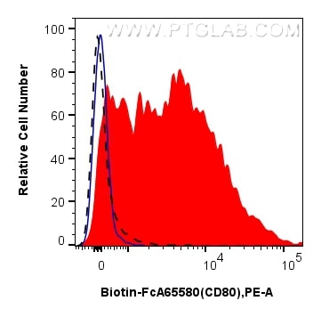 Flow cytometry (FC) experiment of rat splenocytes cells using FcZero-rAb® Biotin Anti-Rat CD80 (3H5) Rabbit Reco (Biotin-FcA65580)