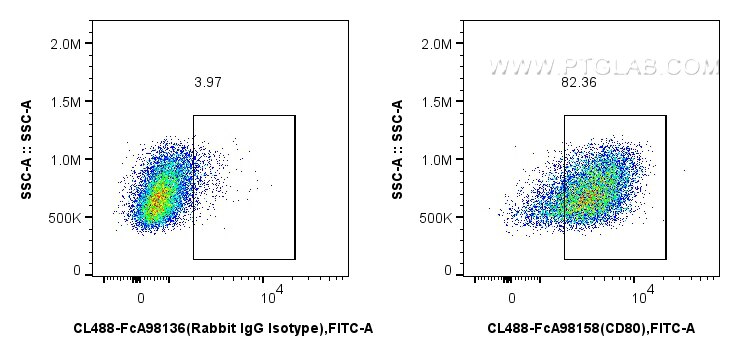 FC experiment of mouse peritoneal macrophages using CL488-FcA98158 Flow cytometry (FC) experiment of mouse peritoneal macrophages using FcZero-rAb® CoraLite® Plus 488 Anti-Mouse CD80 Rab (CL488-FcA98158)