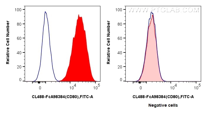 Flow cytometry (FC) experiment of Raji cells using FcZero-rAb® CoraLite® Plus 488 Anti-Human CD80 Rab (CL488-FcA98384)