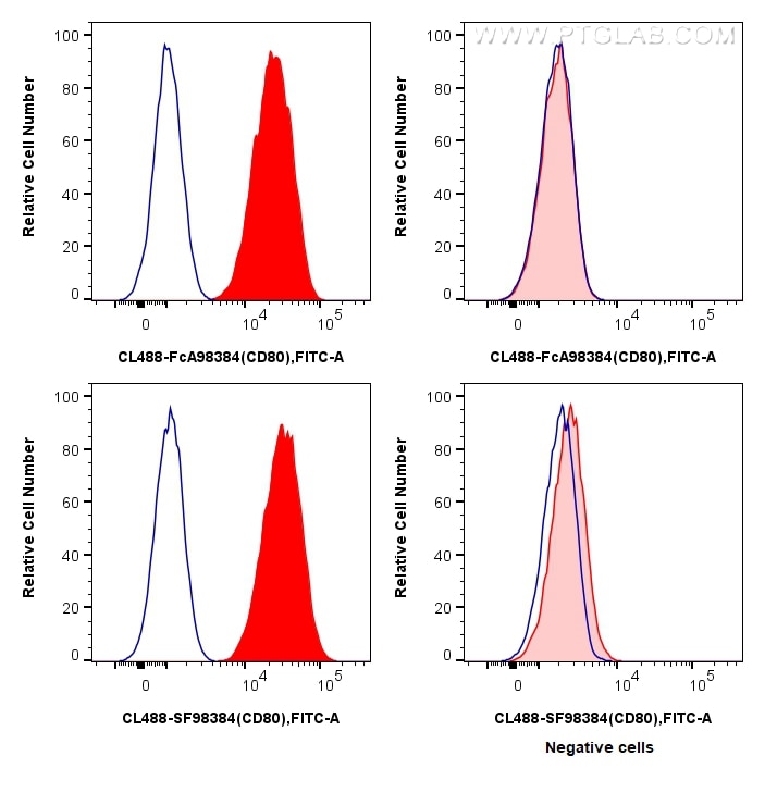 Flow cytometry (FC) experiment of Raji cells using FcZero-rAb® CoraLite® Plus 488 Anti-Human CD80 Rab (CL488-FcA98384)