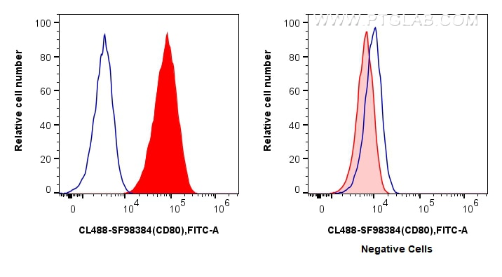 FC experiment of Raji using CL488-SF98384 Flow cytometry (FC) experiment of Raji cells using CoraLite® Plus 488 Anti-Human CD80 Rabbit scFv Ant (CL488-SF98384)