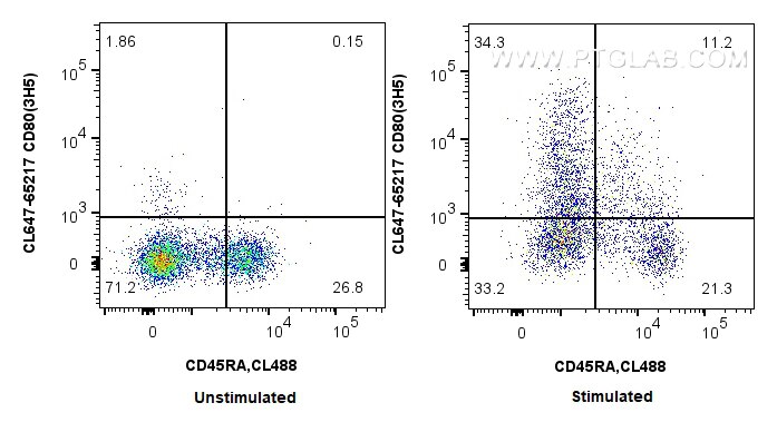 Flow cytometry (FC) experiment of rat splenocytes cells using CoraLite® Plus 647 Anti-Rat CD80 (3H5) (CL647-65217)