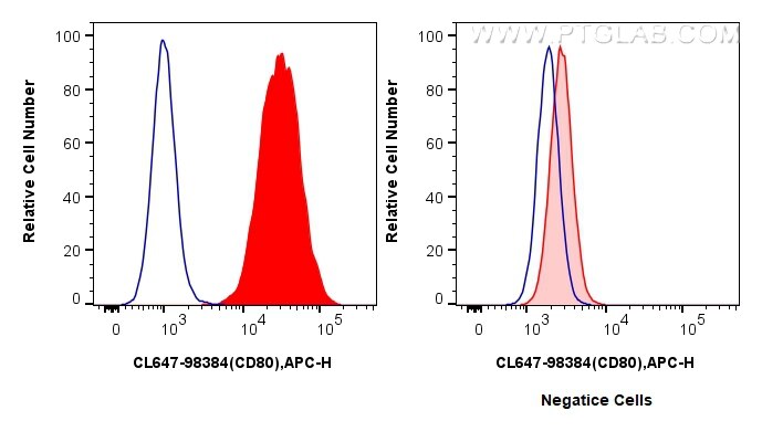 Flow cytometry (FC) experiment of Raji cells using CoraLite® Plus 647 Anti-Human CD80 Rabbit Recombin (CL647-98384)