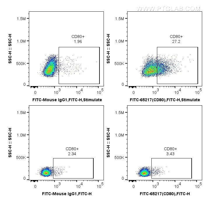 Flow cytometry (FC) experiment of wistar rat splenocytes using FITC Plus Anti-Rat CD80 (3H5) (FITC-65217)