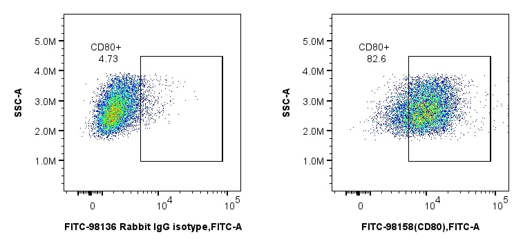 Flow cytometry (FC) experiment of mouse peritoneal macrophages using FITC Plus Anti-Mouse CD80 Rabbit Recombinant Antib (FITC-98158)