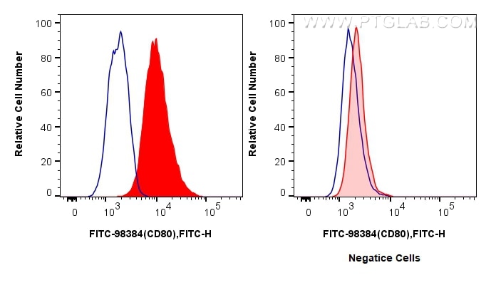 Flow cytometry (FC) experiment of Raji cells using FITC Plus Anti-Human CD80 Rabbit Recombinant Antib (FITC-98384)