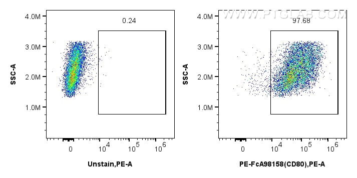 Flow cytometry (FC) experiment of mouse peritoneal macrophages using FcZero-rAb™ PE Anti-Mouse CD80 Rabbit Recombinant  (PE-FcA98158)
