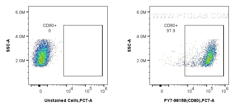 Flow cytometry (FC) experiment of mouse peritoneal macrophages using PE-Cyanine7 Anti-Mouse CD80 Rabbit Recombinant Ant (PY7-98158)