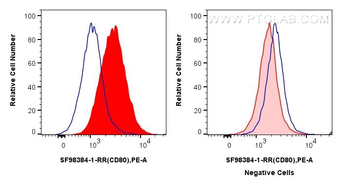 Flow cytometry (FC) experiment of Raji cells using Anti-Human CD80 Rabbit scFv Antibody (SF98384-1-RR)