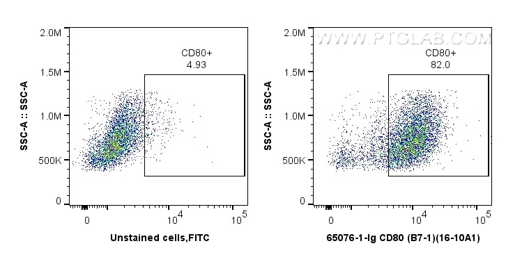 Flow cytometry (FC) experiment of BALB/C mouse peritoneal macrophages using Anti-Mouse CD80 (B7-1) (16-10A1) (65076-1-Ig)