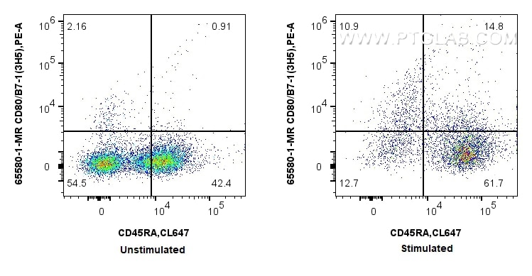 Flow cytometry (FC) experiment of rat splenocytes cells using Anti-Rat CD80 (3H5) Mouse IgG2a Recombinant Antibo (65580-1-MR)