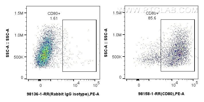 Flow cytometry (FC) experiment of mouse peritoneal macrophages using Anti-Mouse CD80/B7-1 Rabbit Recombinant Antibody (98158-1-RR)