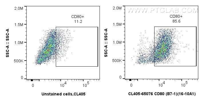 Flow cytometry (FC) experiment of BALB/C mouse peritoneal macrophages using CoraLite® Plus 405 Anti-Mouse CD80 (B7-1) (16-10A1 (CL405-65076)