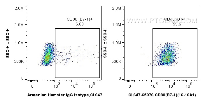 Flow cytometry (FC) experiment of Balb/c mouse peritoneal macrophages using CoraLite® Plus 647 Anti-Mouse CD80 (B7-1) (16-10A1 (CL647-65076)