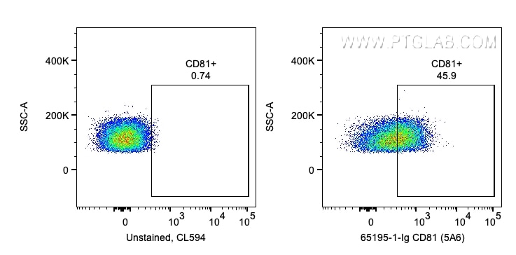 Flow cytometry (FC) experiment of human PBMCs using Anti-Human CD81 (5A6) (65195-1-Ig)