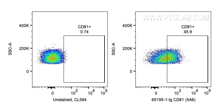 FC experiment of human PBMCs using 65195-1-Ig