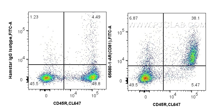 FC experiment of mouse splenocytes using 65680-1-AR Flow cytometry (FC) experiment of mouse splenocytes using Anti-Mouse CD81 (EAT2) Armenian Hamster IgG2a Reco (65680-1-AR)