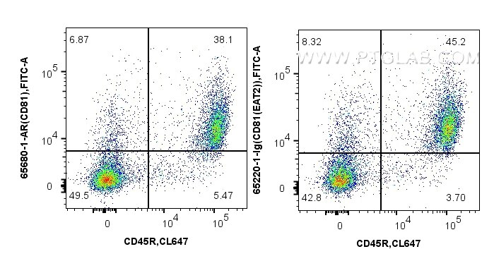 FC experiment of mouse splenocytes using 65680-1-AR Flow cytometry (FC) experiment of mouse splenocytes using Anti-Mouse CD81 (EAT2) Armenian Hamster IgG2a Reco (65680-1-AR)