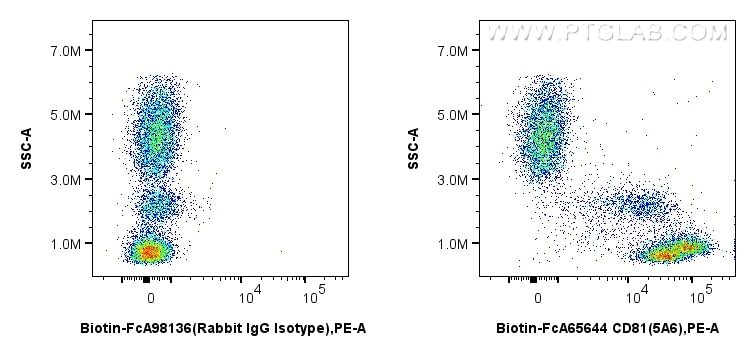 Flow cytometry (FC) experiment of human peripheral blood leukocytes using FcZero-rAb™ Biotin Anti-Human CD81 (5A6) Rabbit Ig (Biotin-FcA65644)