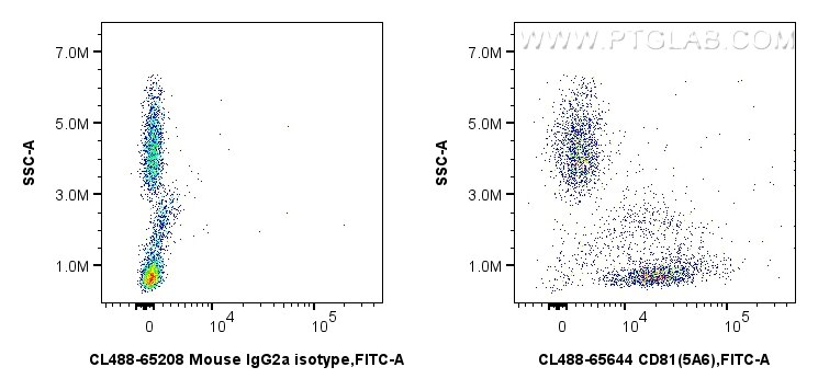 Flow cytometry (FC) experiment of human peripheral blood leukocytes using CoraLite® Plus 488 Anti-Human CD81 (5A6) Mouse IgG (CL488-65644)