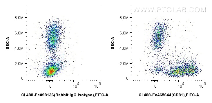 FC experiment of human peripheral blood leukocytes using CL488-FcA65644 Flow cytometry (FC) experiment of human peripheral blood leukocytes using FcZero-rAb® CoraLite® Plus 488 Anti-Human CD81 (5A (CL488-FcA65644)