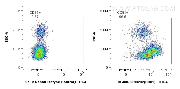 Flow cytometry (FC) experiment of human PBMCs using CoraLite® Plus 488 Anti-Human CD81 Rabbit scFv Ant (CL488-SF98202)