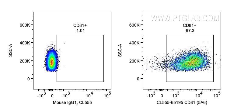 Flow cytometry (FC) experiment of human PBMCs using CoraLite® Plus 555 Anti-Human CD81 (5A6) (CL555-65195)