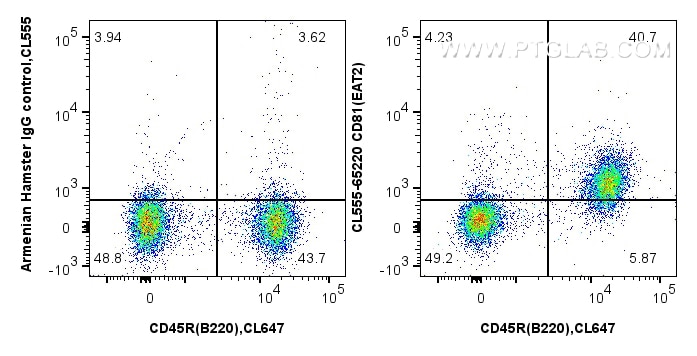 Flow cytometry (FC) experiment of mouse splenocytes using CoraLite® Plus 555 Anti-Mouse CD81 (EAT2) (CL555-65220)