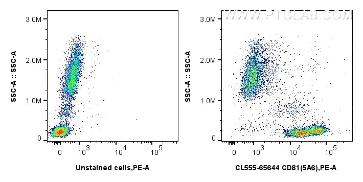 1x10^6 human peripheral blood leukocytes were surface stained with 5 ul CoraLite® Plus 555 Anti-Human CD81 (5A6) Mouse IgG2a RecAb (CL555-65644, Clone:5A6) (red) or 5 ul CoraLite® Plus 555 Mouse IgG2a Isotype Control (C1.18.4) (CL555-65208, Clone: C1.18.4) (blue). Cells were incubated with FC Receptor Block prior to fixing and staining. Cells were not fixed. Flow cytometry (FC) experiment of human peripheral blood leukocytes using CoraLite® Plus 555 Anti-Human CD81 (5A6) Mouse IgG (CL555-65644)