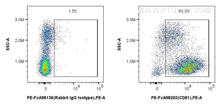 Flow cytometry (FC) experiment of human PBMCs using FcZero-rAb™ PE Anti-Human CD81 Rabbit Recombinant  (PE-FcA98202)