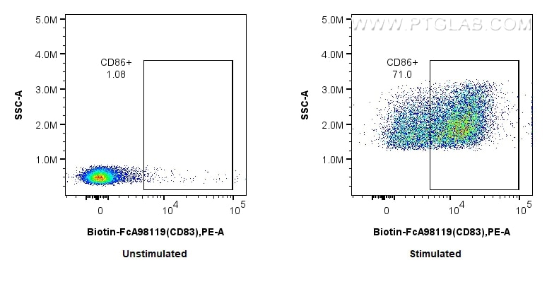 FC experiment of mouse splenocytes using Biotin-FcA98119 Flow cytometry (FC) experiment of mouse splenocytes using FcZero-rAb® Biotin Anti-Mouse CD83 Rabbit Recombin (Biotin-FcA98119)