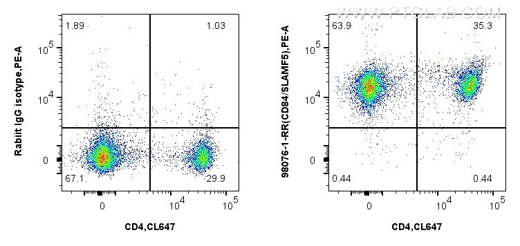 Flow cytometry (FC) experiment of mouse splenocytes using Anti-Mouse CD84 Rabbit Recombinant Antibody (98076-1-RR)