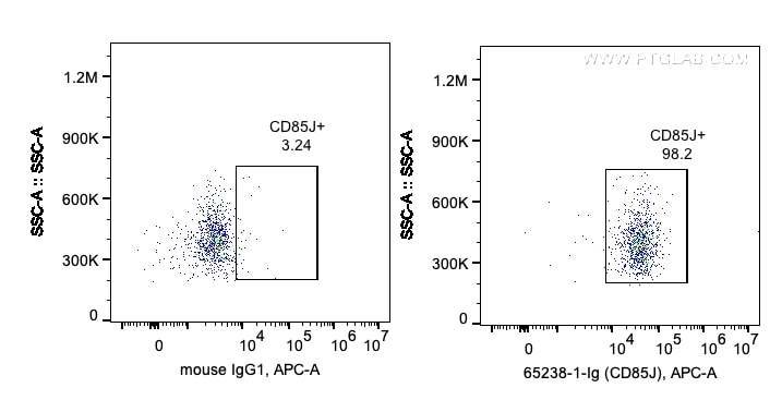 FC experiment of human PBMCs using 65238-1-Ig