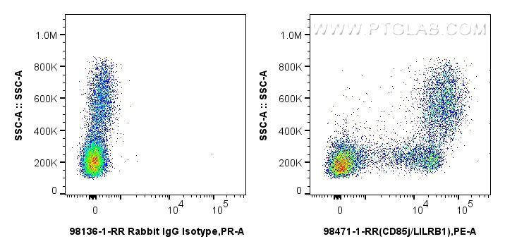 1x10^6 human PBMCs were surface stained with 0.25 ug Anti-Human CD85j / LILRB1 Rabbit RecAb (98471-1-RR, Clone: 250502H2) or 0.25 ug Rabbit IgG Isotype Control RecAb (98136-1-RR, Clone: 240953C9), and PE-Conjugated Goat Anti-Rabbit IgG(H+L). Cells were incubated with FC Receptor Block prior to staining. Cells were not fixed. This data was developed using the same antibody clone with 98471-1-PBS in a different storage buffer formulation. Flow cytometry (FC) experiment of human PBMCs using Anti-Human CD85j / LILRB1 Rabbit Recombinant Antib (98471-1-RR)