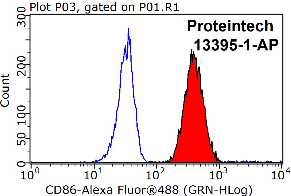 Flow cytometry (FC) experiment of Raji cells using CD86 Polyclonal antibody (13395-1-AP)
