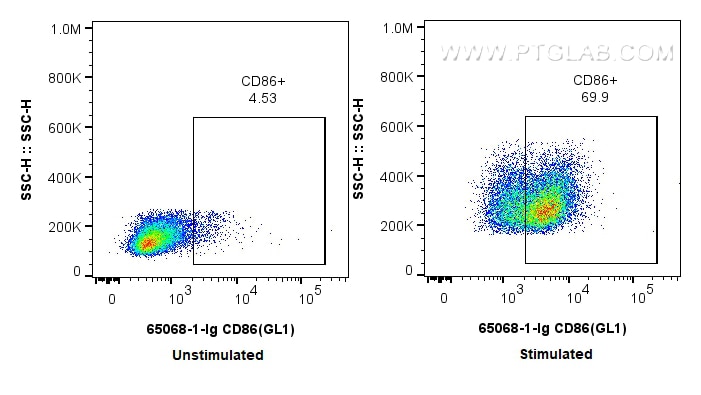 Flow cytometry (FC) experiment of mouse splenocytes using Anti-Mouse CD86 (GL1) (65068-1-Ig)
