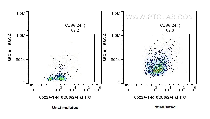Flow cytometry (FC) experiment of Wistar Rat splenocytes using Anti-Rat CD86 (24F) (65224-1-Ig)