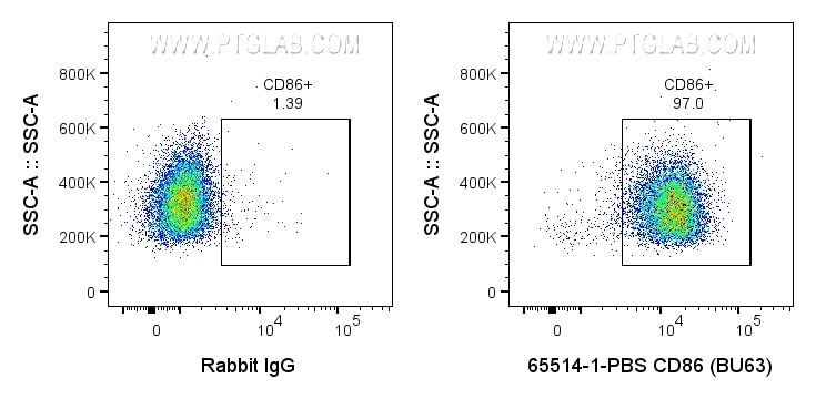 Flow cytometry (FC) experiment of human PBMCs using Anti-Human CD86  (BU63) Rabbit IgG Recombinant Ant (65514-1-PBS)