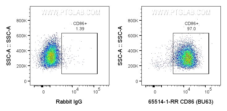 FC experiment of human PBMCs using 65514-1-RR