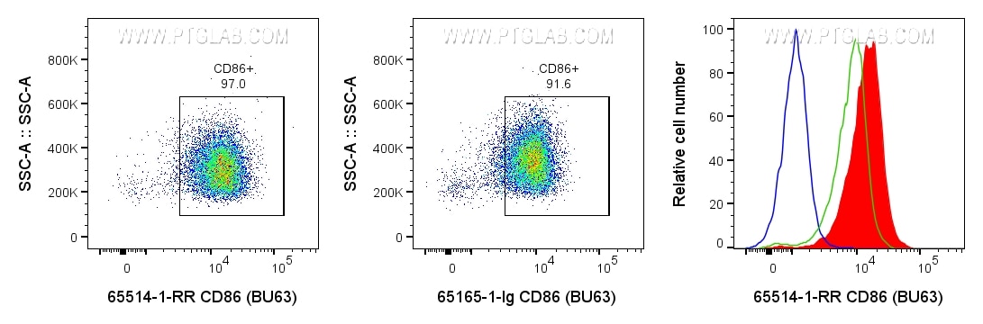 Flow cytometry (FC) experiment of human PBMCs using Anti-Human CD86 (BU63) Rabbit Recombinant Antibody (65514-1-RR)