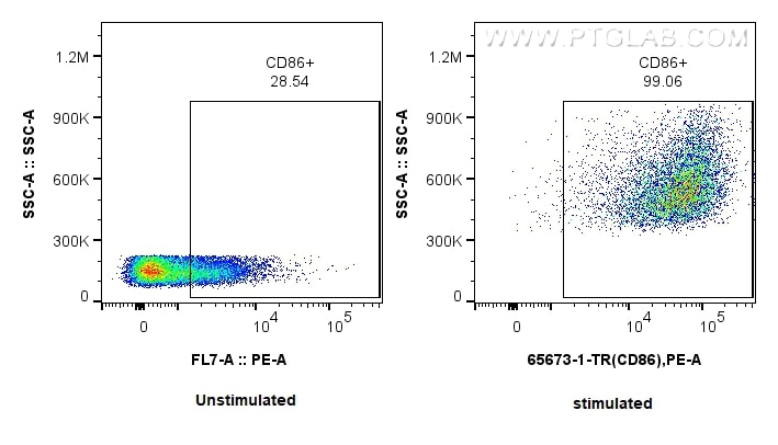 Flow cytometry (FC) experiment of mouse splenocytes using Anti-Mouse CD86 (GL1) Rat Recombinant Antibody (65673-1-TR)