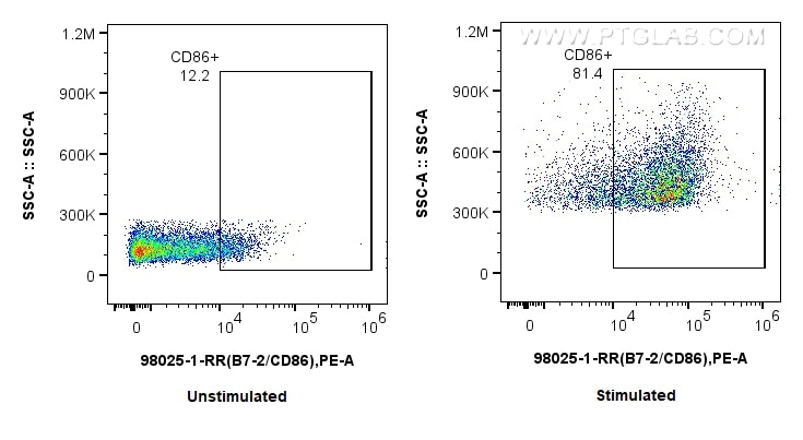 Flow cytometry (FC) experiment of mouse splenocytes using Anti-Mouse CD86 Rabbit Recombinant Antibody (98025-1-RR)