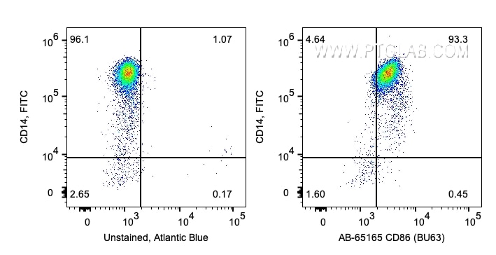 Flow cytometry (FC) experiment of human PBMCs using Atlantic Blue™ Anti-Human CD86 (BU63) (AB-65165)